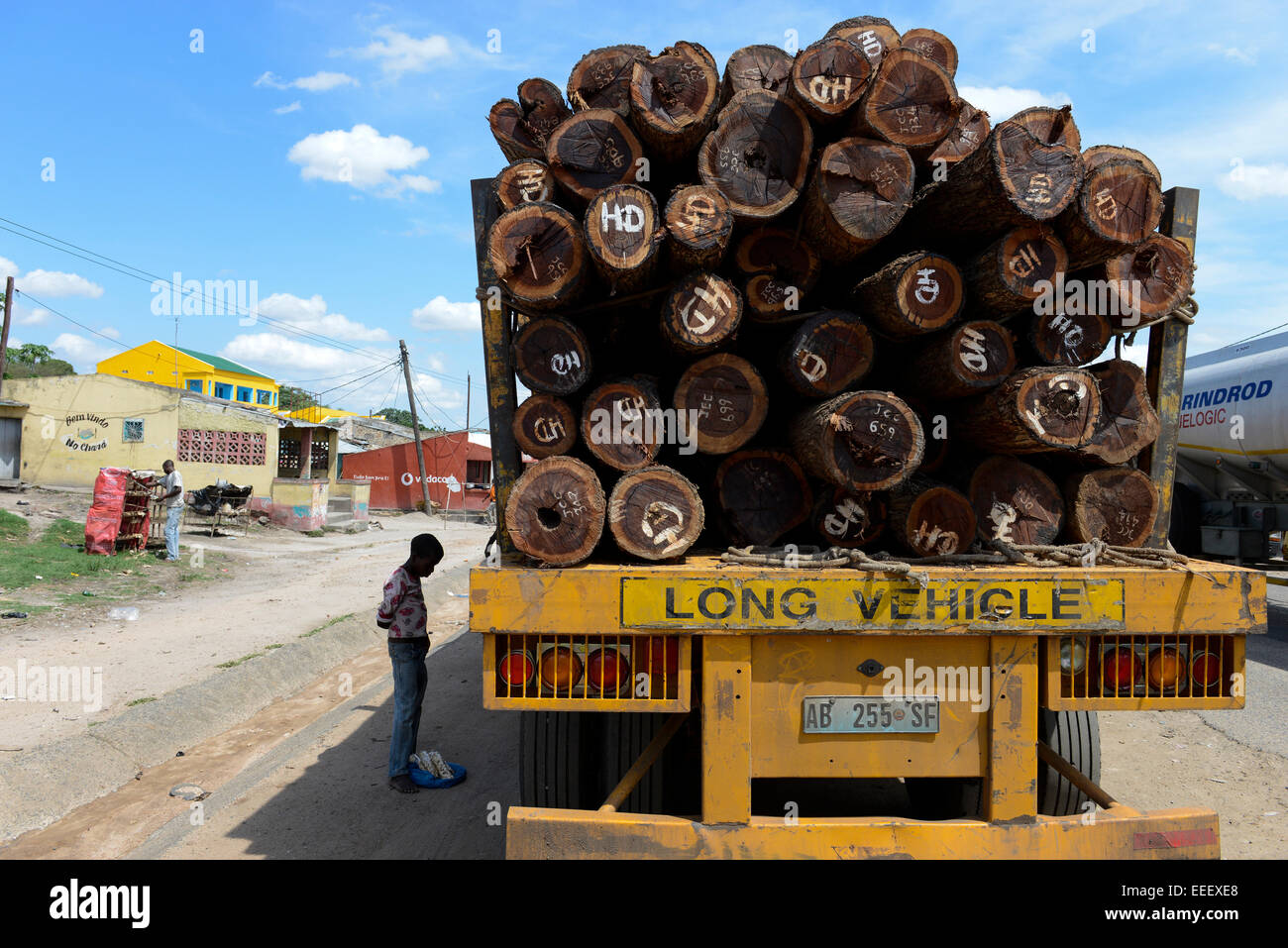 Mozambico, Beira Corrodor, commercio di legname di imprese cinesi per le esportazioni verso la Cina, il trasporto su un autocarro di alberi registrati dalla provincia di Tete al porto di Beira / MOSAMBIK, Beira Korridor, Holzhandel von chinesischen Firmen fuer Export nach Cina, trasporti LKW von Baumstaemmen aus der Provinz Tete zum Hafen Beira, Kahlschlag in Mosambik, taeglich kommen hunderte Lastwagen mit Holz in Beira una Foto Stock