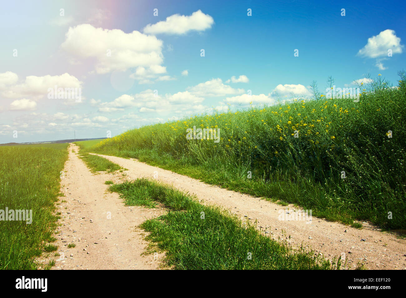 Strada di campagna tra il verde campo in estate e il blu cielo pulito. Natura immagine concettuale. Foto Stock