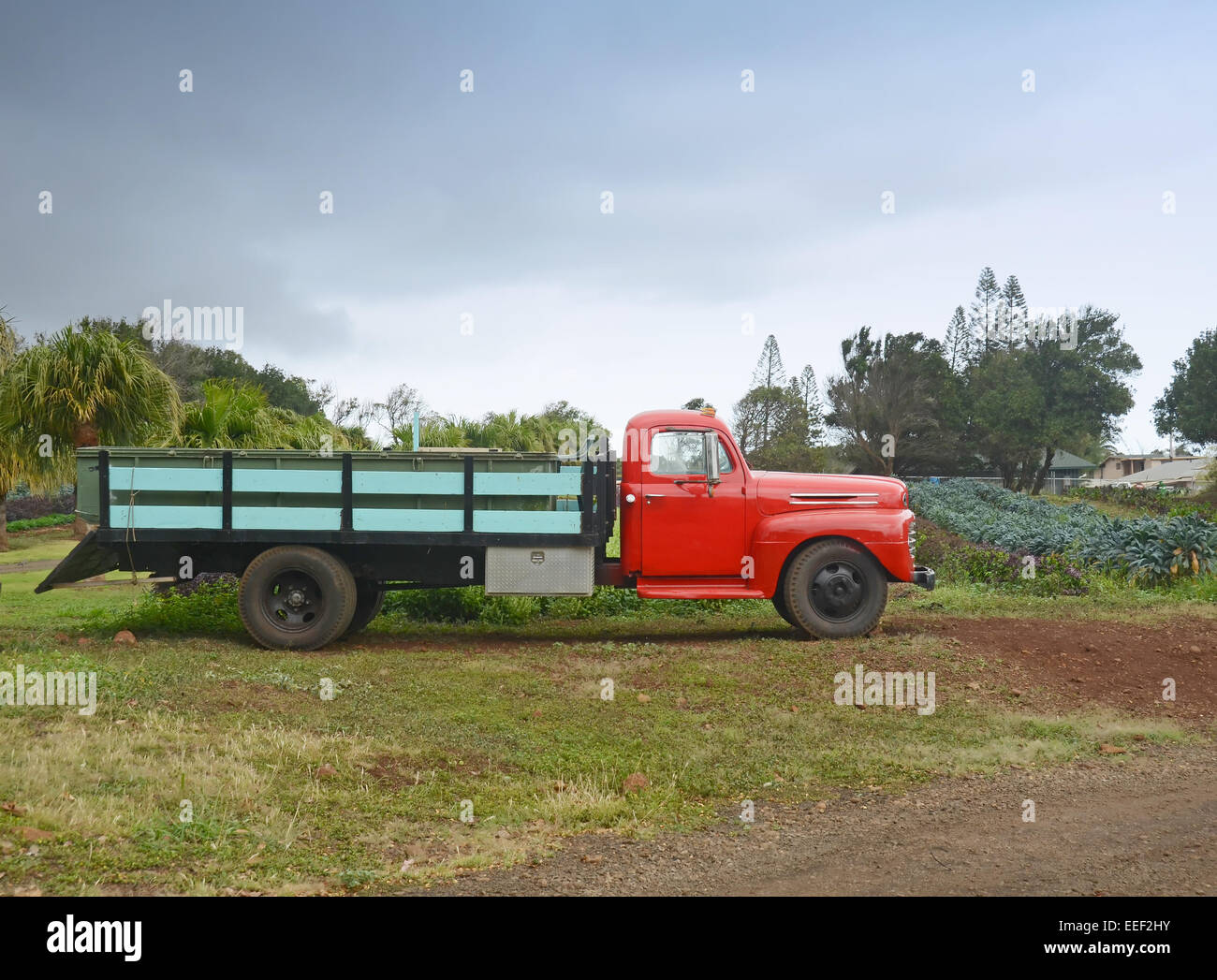 Dipinto luminosamente vecchia fattoria carrello vista laterale Foto Stock