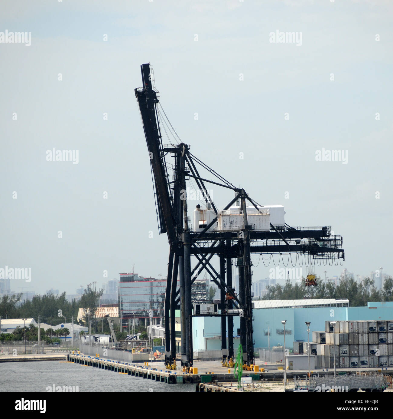 Il sollevamento pesante contenitore gru a Port Everglades, Florida Foto Stock