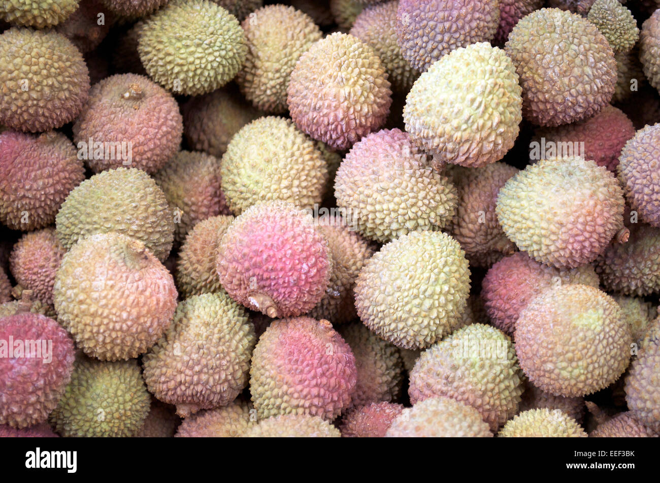 Durian Foto Stock