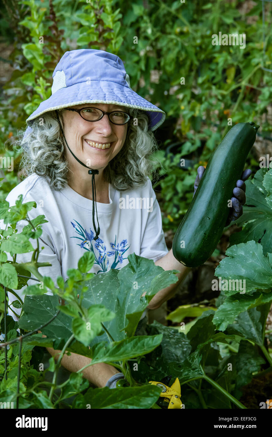 Donna giardiniere nei suoi anni sessanta con in mano una grande zucchini nel mezzo di un orto in Issaquah, Washington, Stati Uniti d'America Foto Stock