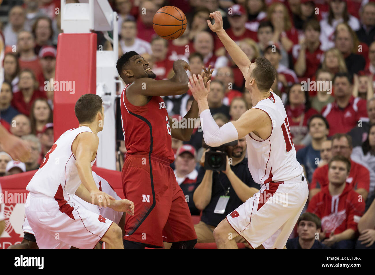 15 gennaio 2015: Wisconsin Badgers avanti Sam Dekker #15 va dopo una sfera allentati durante il NCAA pallacanestro tra il Wisconsin Badgers e Nebraska Cornhuskers a Kohl Center a Madison, WI. Wisconsin sconfitto Nebraska 70-55. John Fisher/CSM Foto Stock