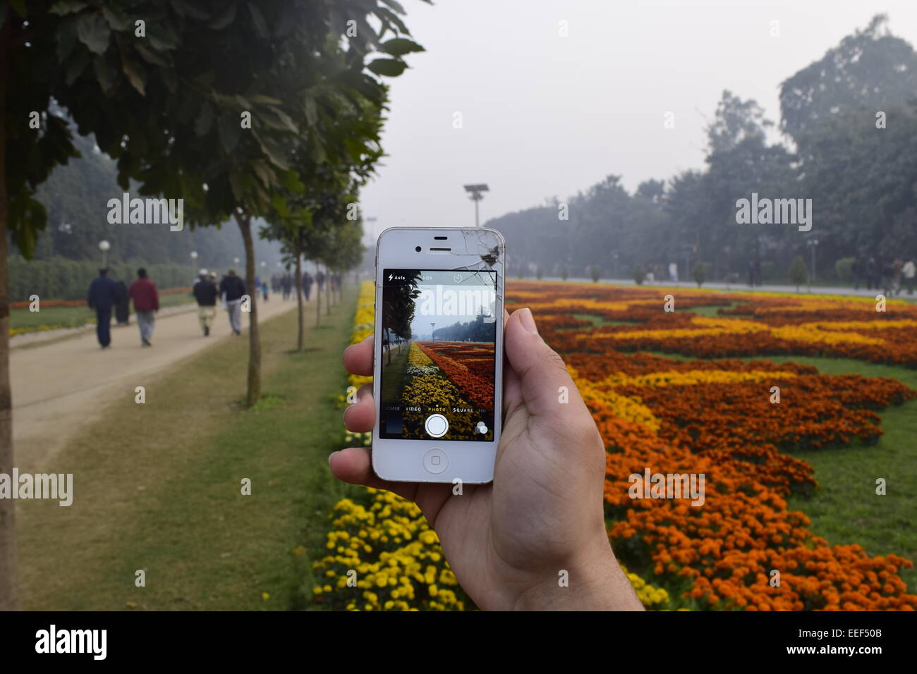 Parco pubblico: foto in Foto con la rottura di un iphone a un parco pubblico Foto Stock