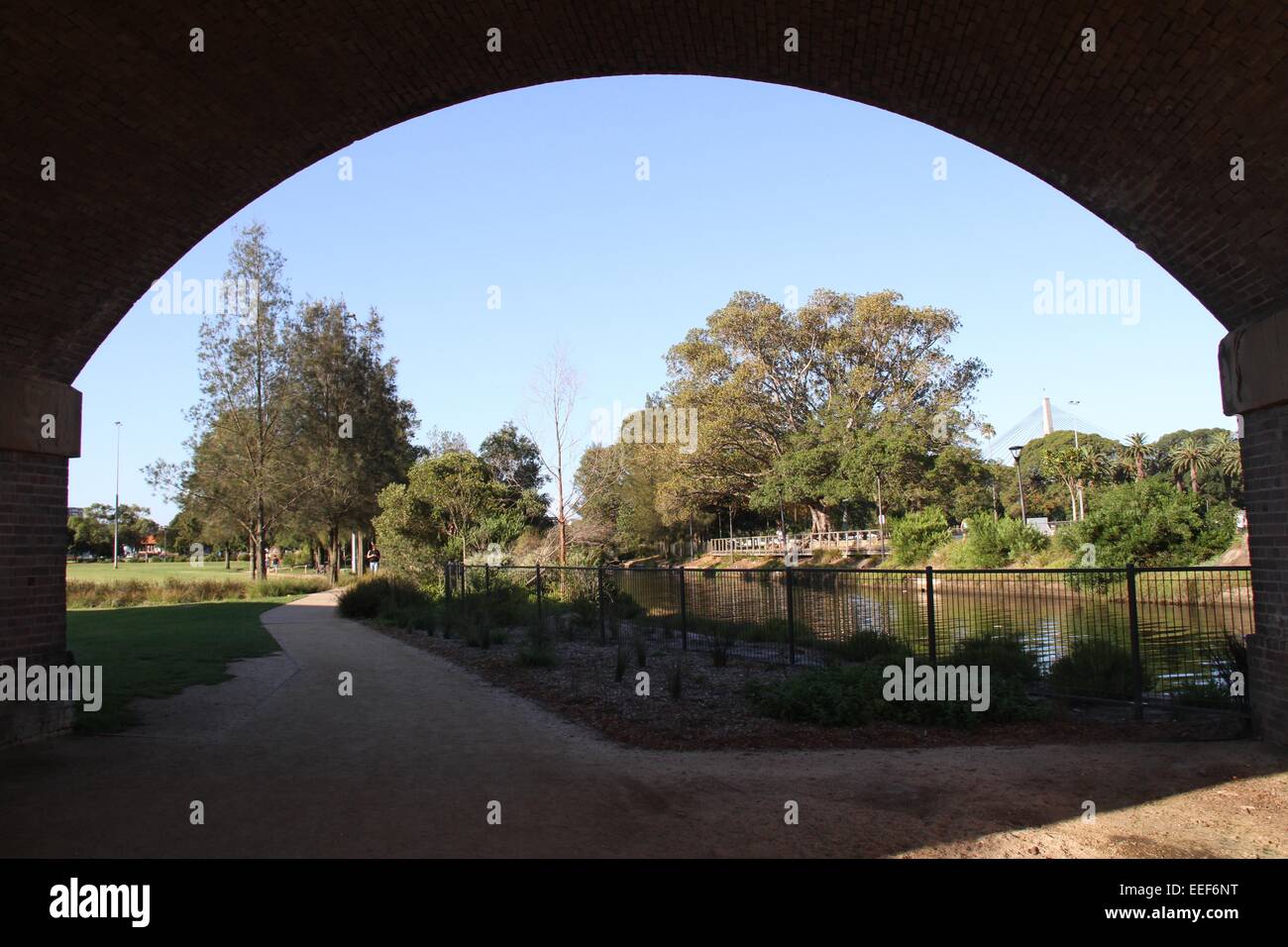 Guardando attraverso un viadotto verso Johnstons Creek in interno sobborgo occidentale di Annandale, Sydney. Foto Stock