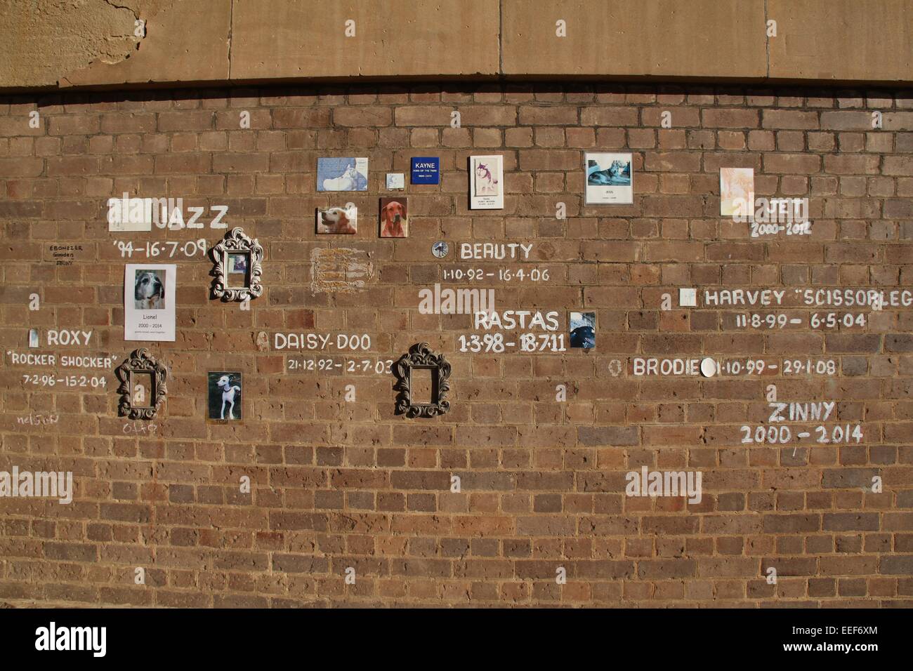 Un memoriale di parete per cani che sono morti sotto un viadotto in al Parco federale nell'interno sobborgo occidentale di Annandale, Sydney. Foto Stock