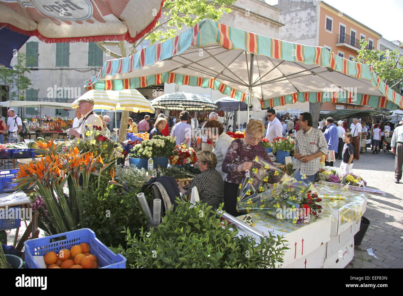 Spanien maiorca Alcudia Markt Haendler Verkauf Lebensmittel nessun modello di rilascio Mittelmeer Balearen Insel Wochenmarkt Marktstand V Foto Stock