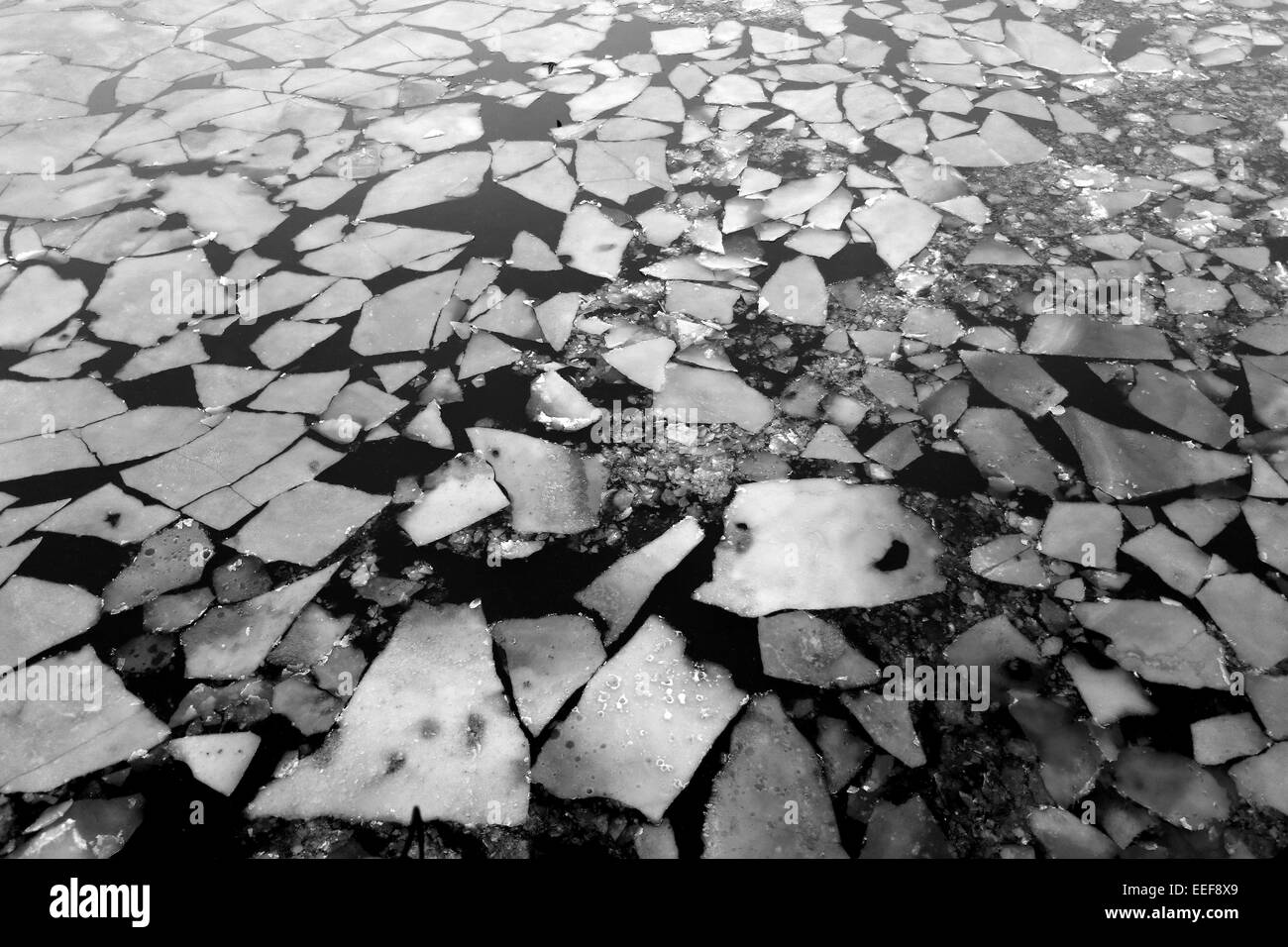 Foto in bianco e nero del ghiaccio sul fiume Mosca Foto Stock