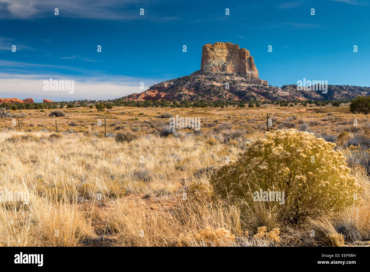 Isolato butte ripida collina in un suggestivo paesaggio del deserto, Navajo Nation Indian Reservation, Arizona, Stati Uniti d'America Foto Stock