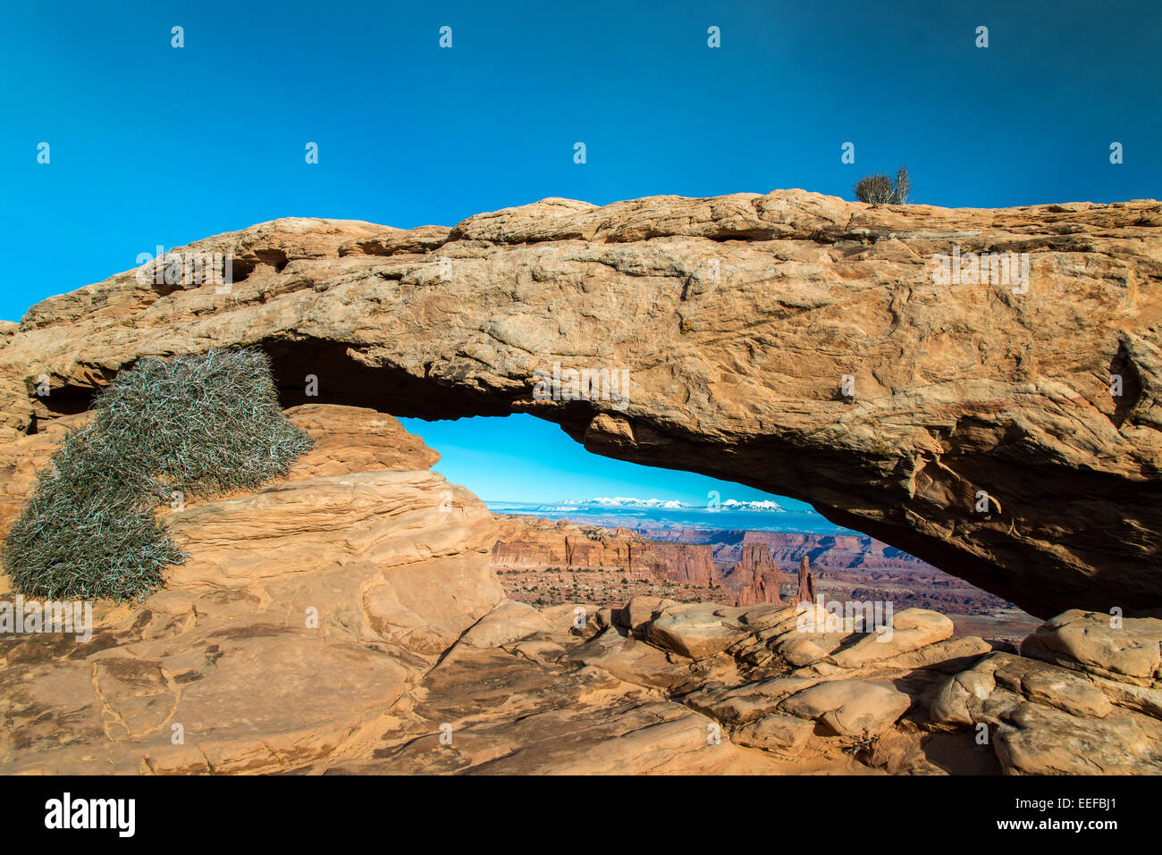 Mesa Arch, il Parco Nazionale di Canyonlands, Utah, Stati Uniti d'America Foto Stock