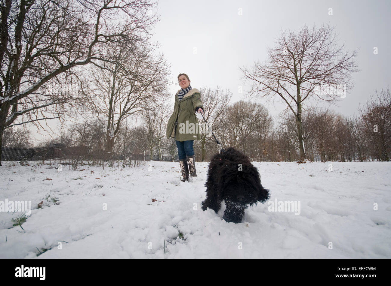 Una donna cammina il suo cane a Londra su una coperta di neve park Foto Stock