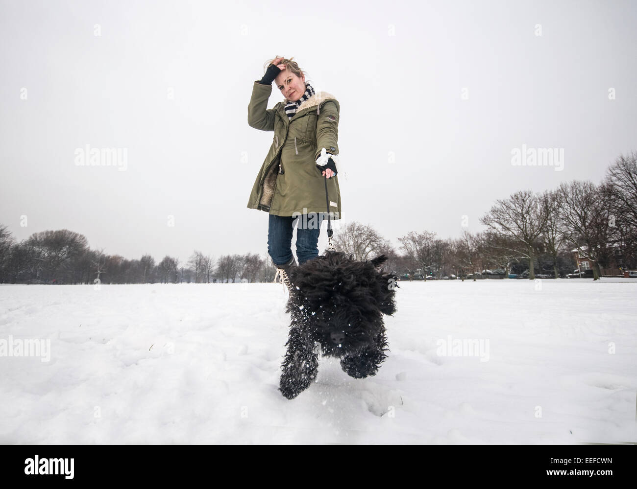 Una donna cammina il suo cane a Londra su una coperta di neve park Foto Stock
