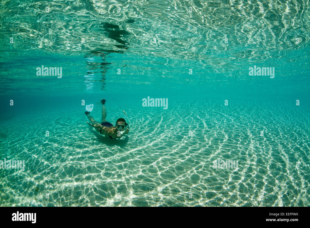 Snorkeling off Palme Isola, Fadol, Kai, ISOLE MOLUCCHE, INDONESIA Foto Stock