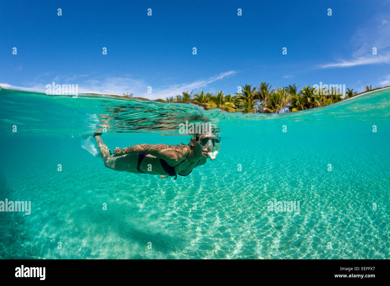 Snorkeling off Palme Isola, Fadol, Kai, ISOLE MOLUCCHE, INDONESIA Foto Stock