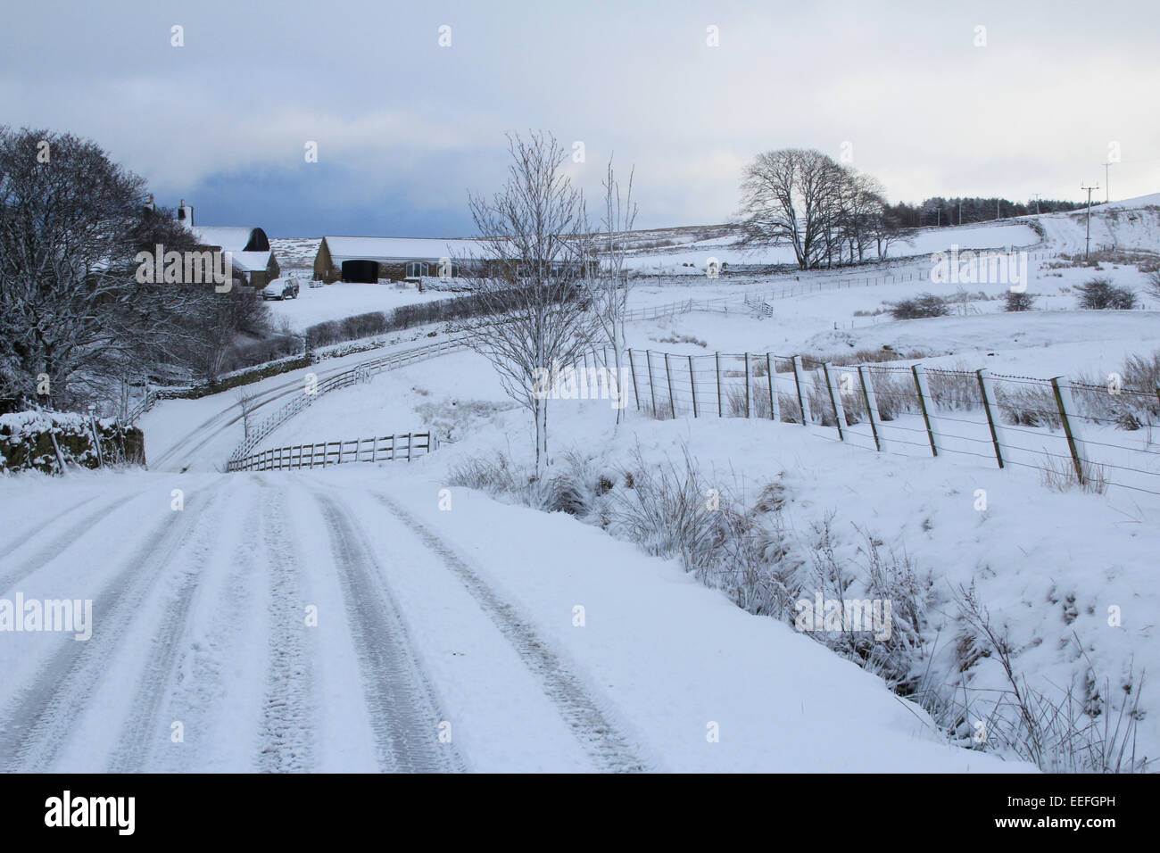 Un snowy Northumberland Road Foto Stock