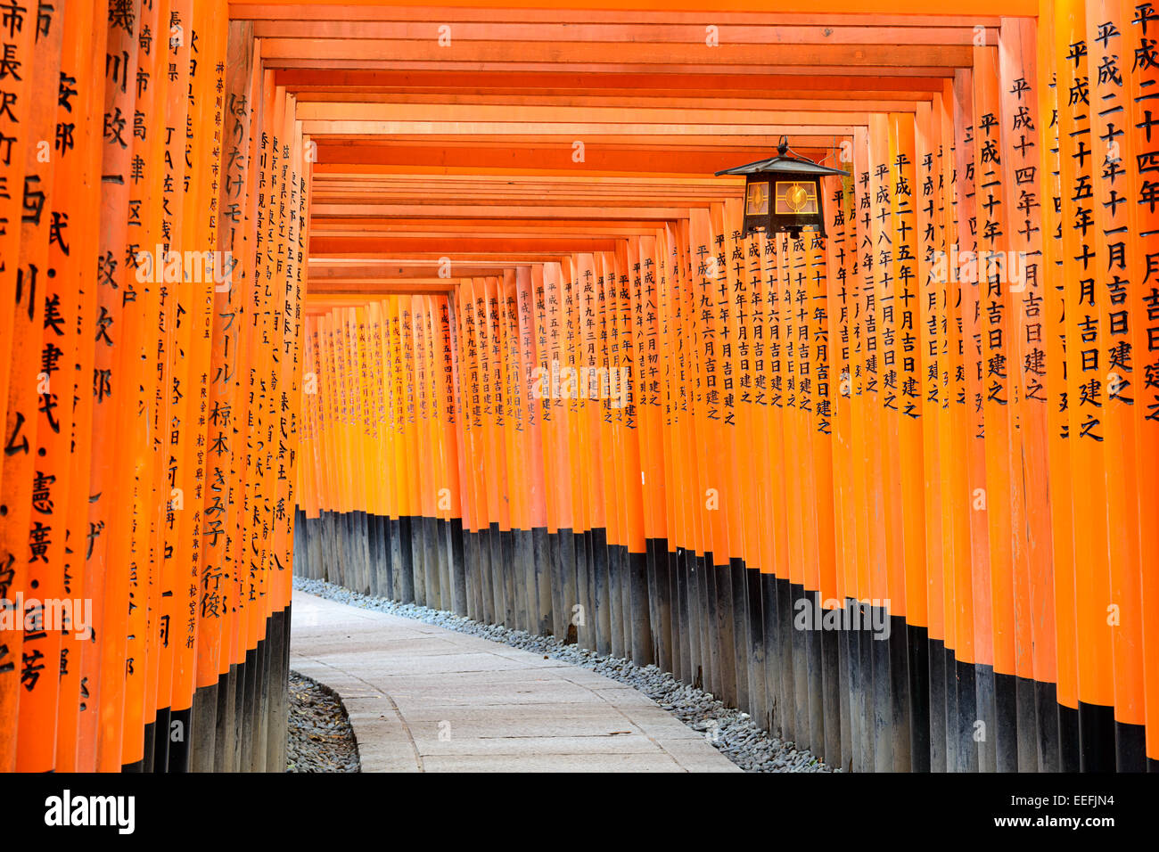 Fushimi Inari Santuario torii gates a Kyoto, in Giappone. Foto Stock