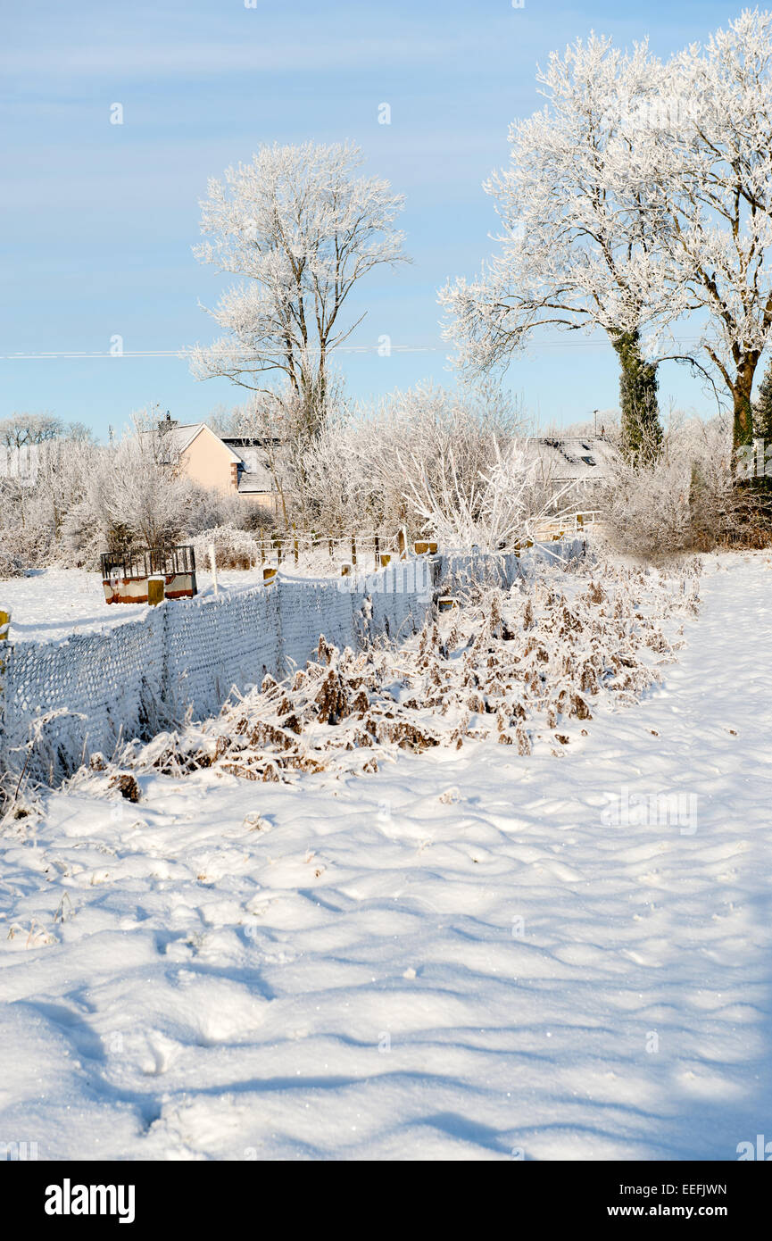 Bella giornata di sole nella stagione invernale Foto Stock