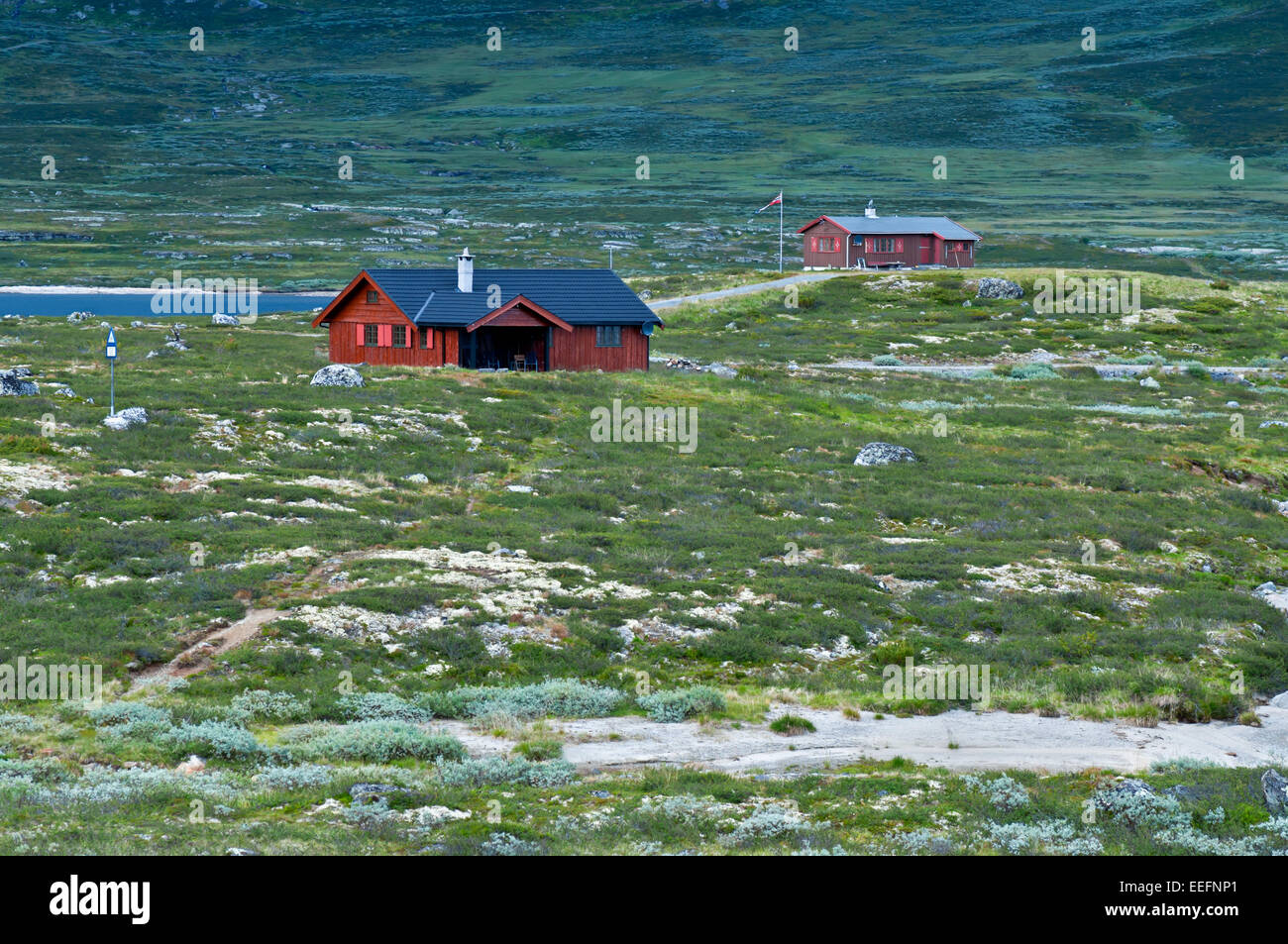 Tradizionale in rosso case di legno nel paesaggio nordico, Norvegia Foto Stock