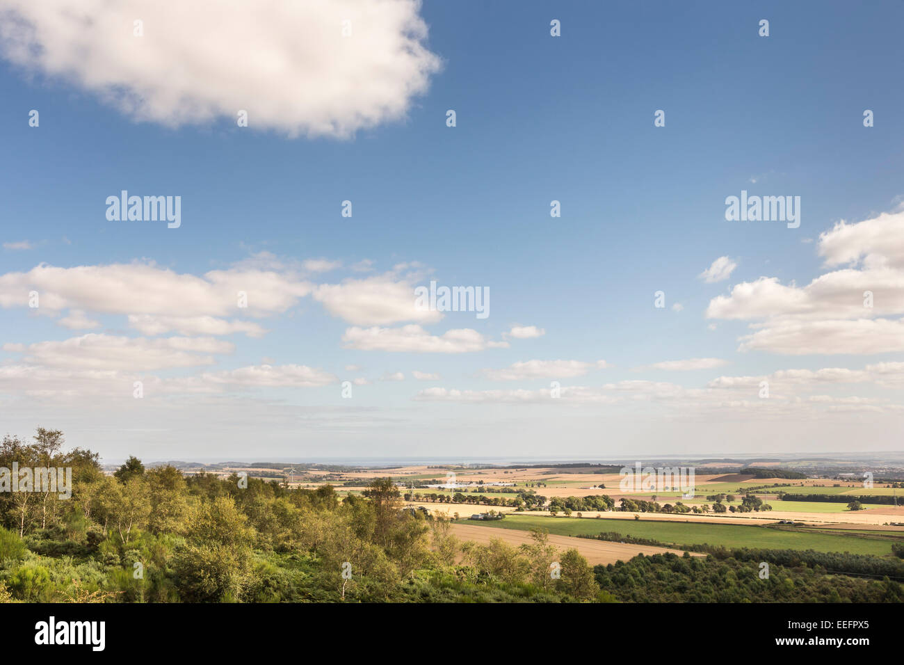 Vista dalle colline Sidlaw in Angus in Scozia. Foto Stock