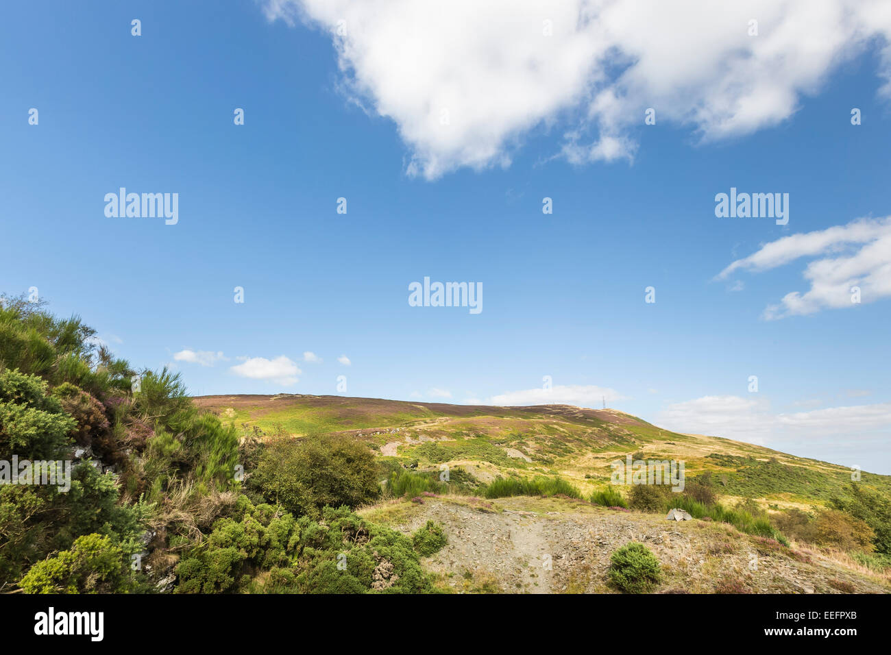 Percorso fino la Sidlaw hills di Angus, Scozia. Foto Stock