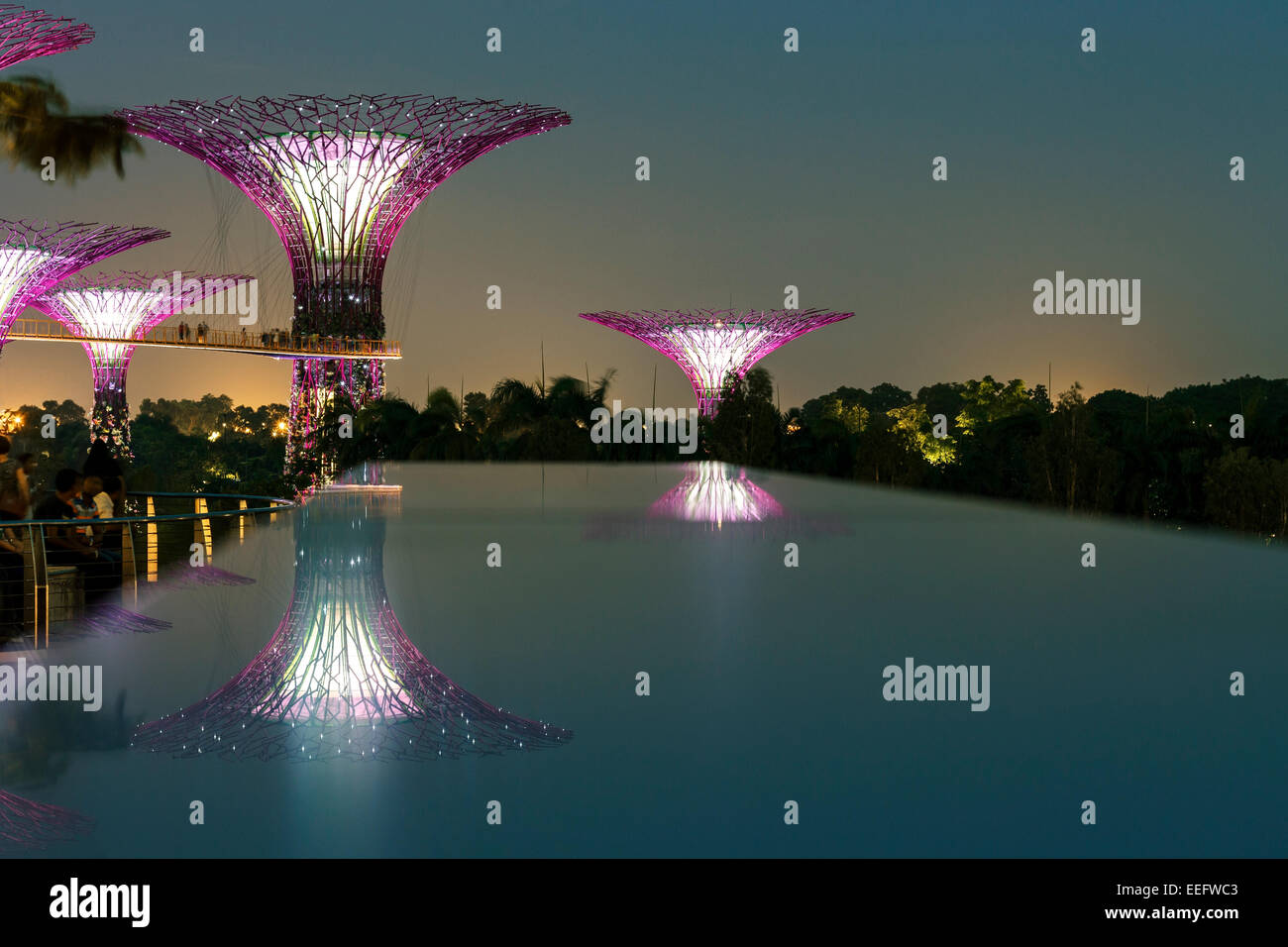 Giardini dalla baia Supertrees con la riflessione Foto Stock