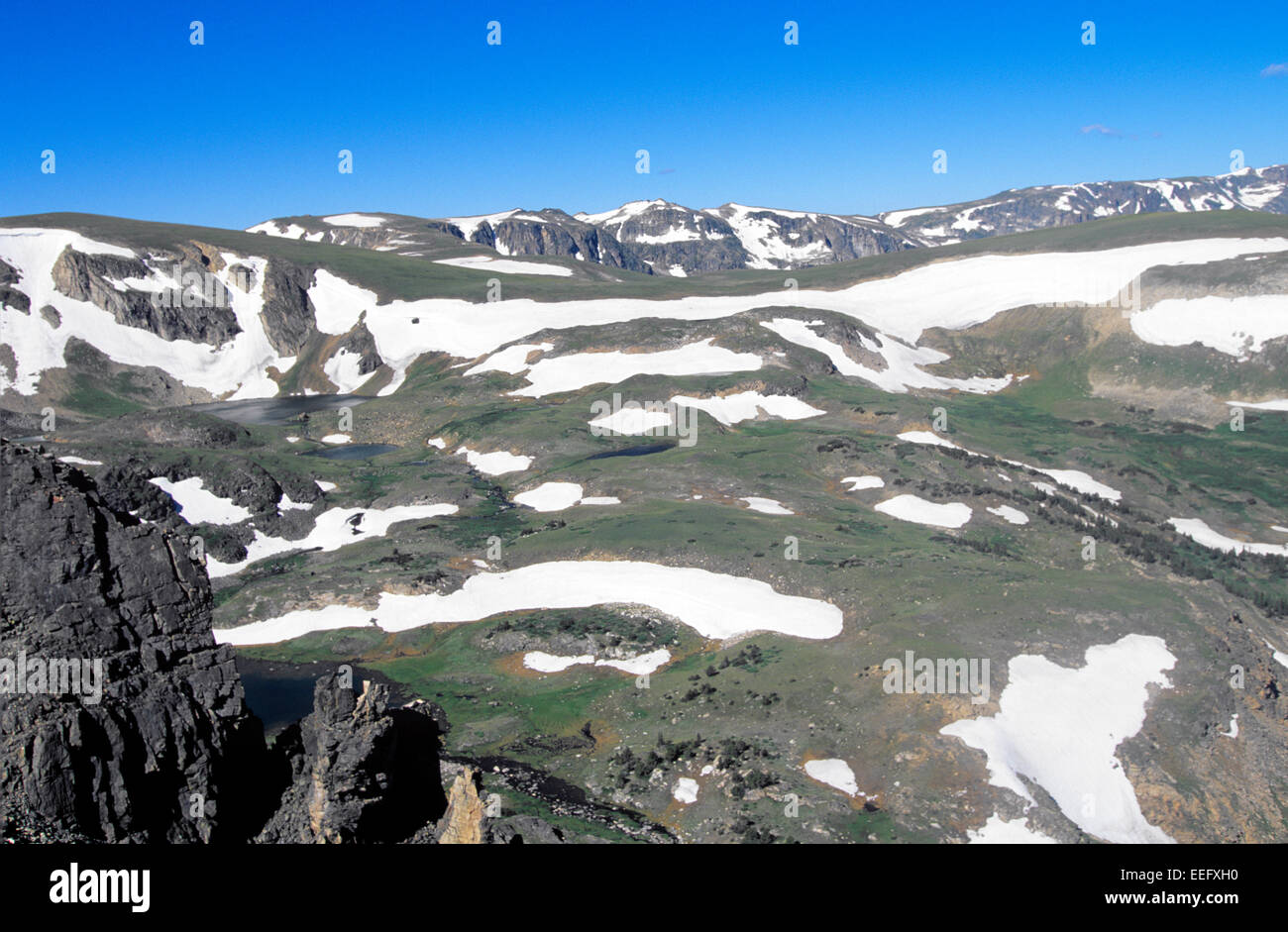 Beartooth Pass, vertice di 10,936 piedi, Montana, USA Foto Stock