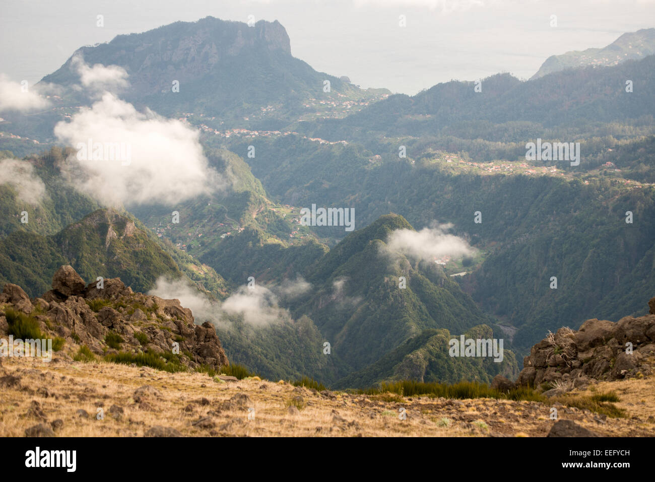 Vista di punta Foto Stock