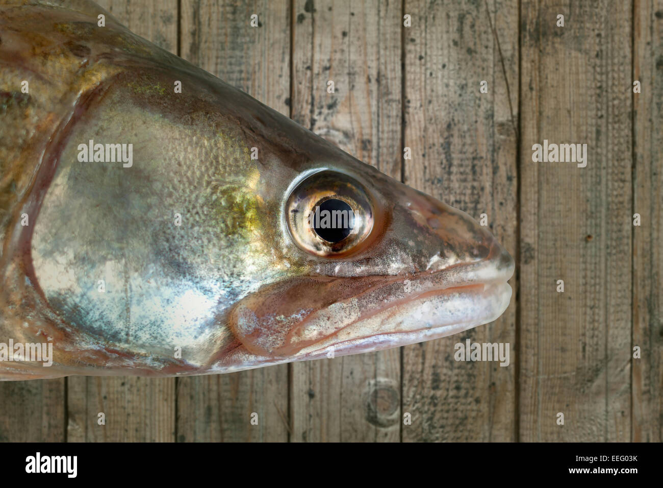 Testa di pesce Sfondo legno isolato tracciato di ritaglio Foto Stock