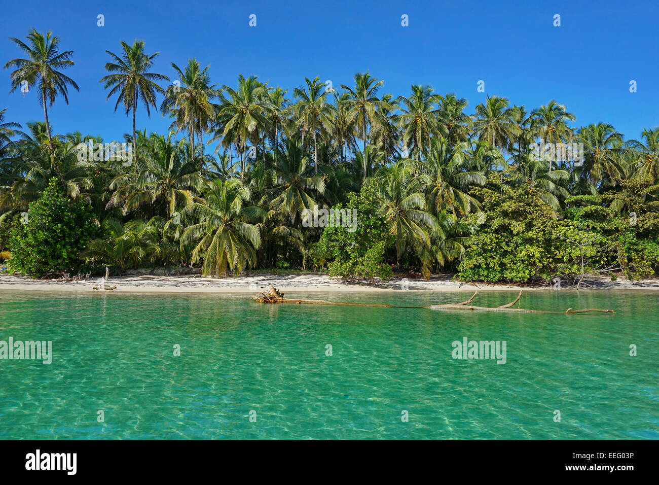 Sandy shore dei Caraibi con una lussureggiante vegetazione tropicale, vista dal mare Foto Stock