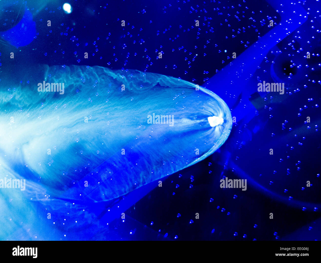 Le particelle di ghiaccio secco si muovono nel liquido creando interessanti i motivi ondulati che assomiglia a una cometa. Utile per gli sfondi e sfondi Foto Stock