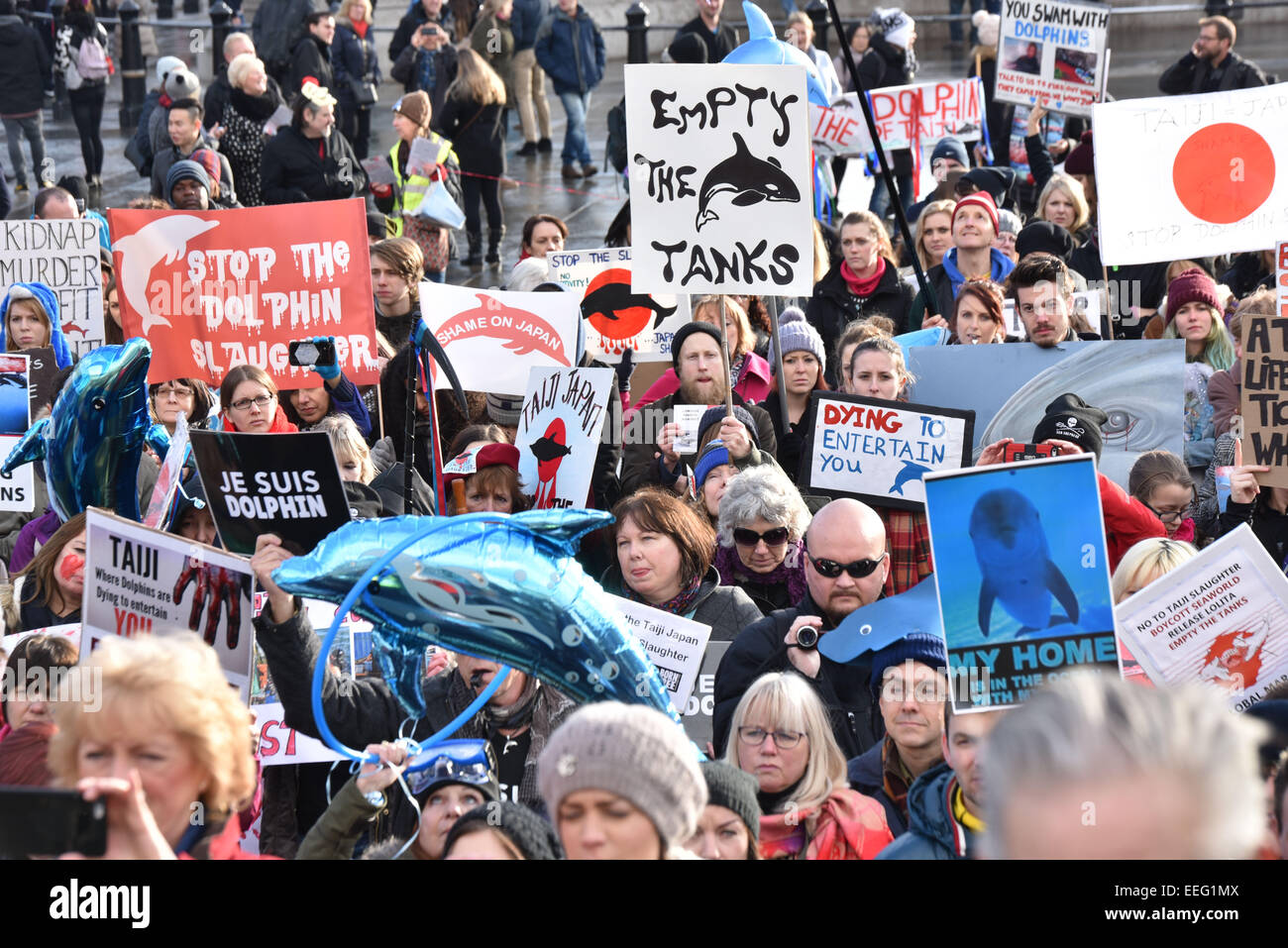 Londra, UK, 17 Gennaio 2015 : più di un migliaio di persone, alcuni vestiti come i delfini e gli altri per portare ad esse, rally contro la sanguinosa annuale di macellazione dei delfini nel Taiji cove, il Giappone e la crudeltà di mantenere i delfini catturati in attrazioni per i visitatori di Londra. Credito: Vedere Li/Alamy Live News Foto Stock