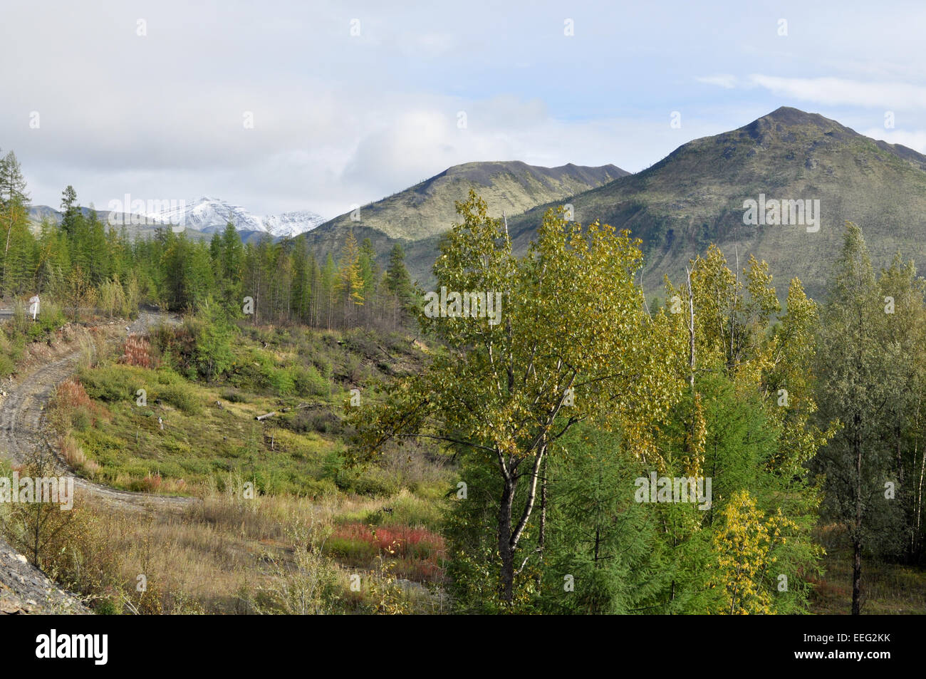 Montagne di Yakutia in tarda estate. L'autostrada federale "Kolyma" Yakutsk-Magadan, Yakutia, Russia. Foto Stock