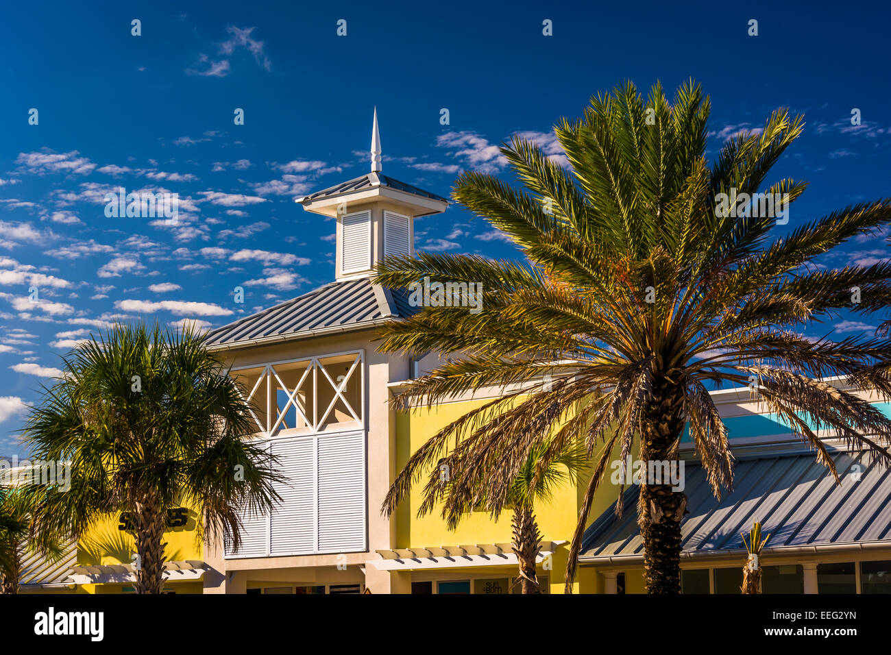 Alberi di palma e di costruire in Vilano Beach, Florida. Foto Stock
