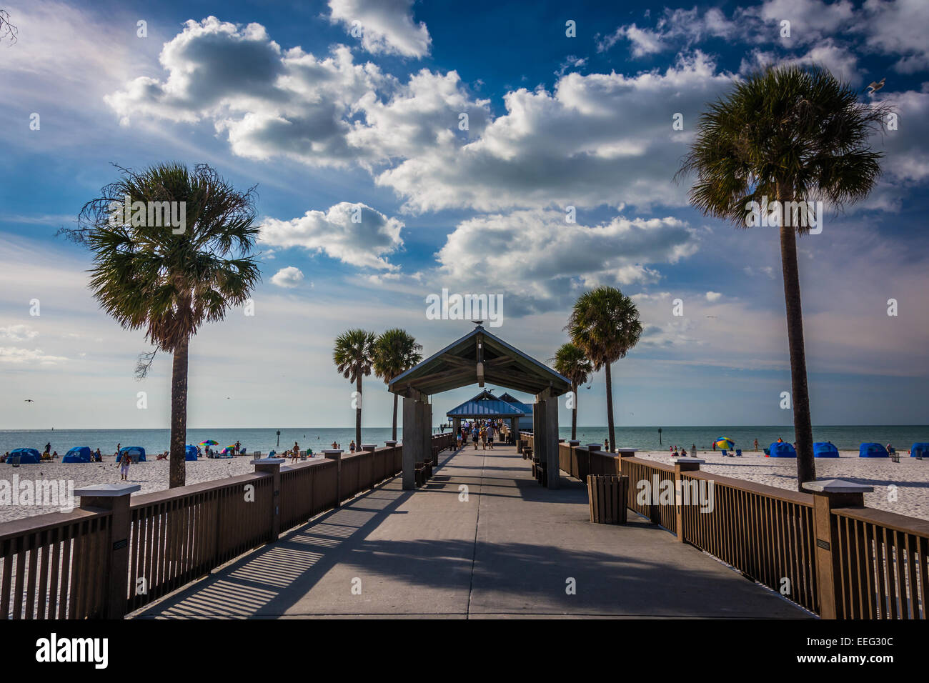 Alberi di palma e il molo di pesca in Clearwater Beach, Florida. Foto Stock
