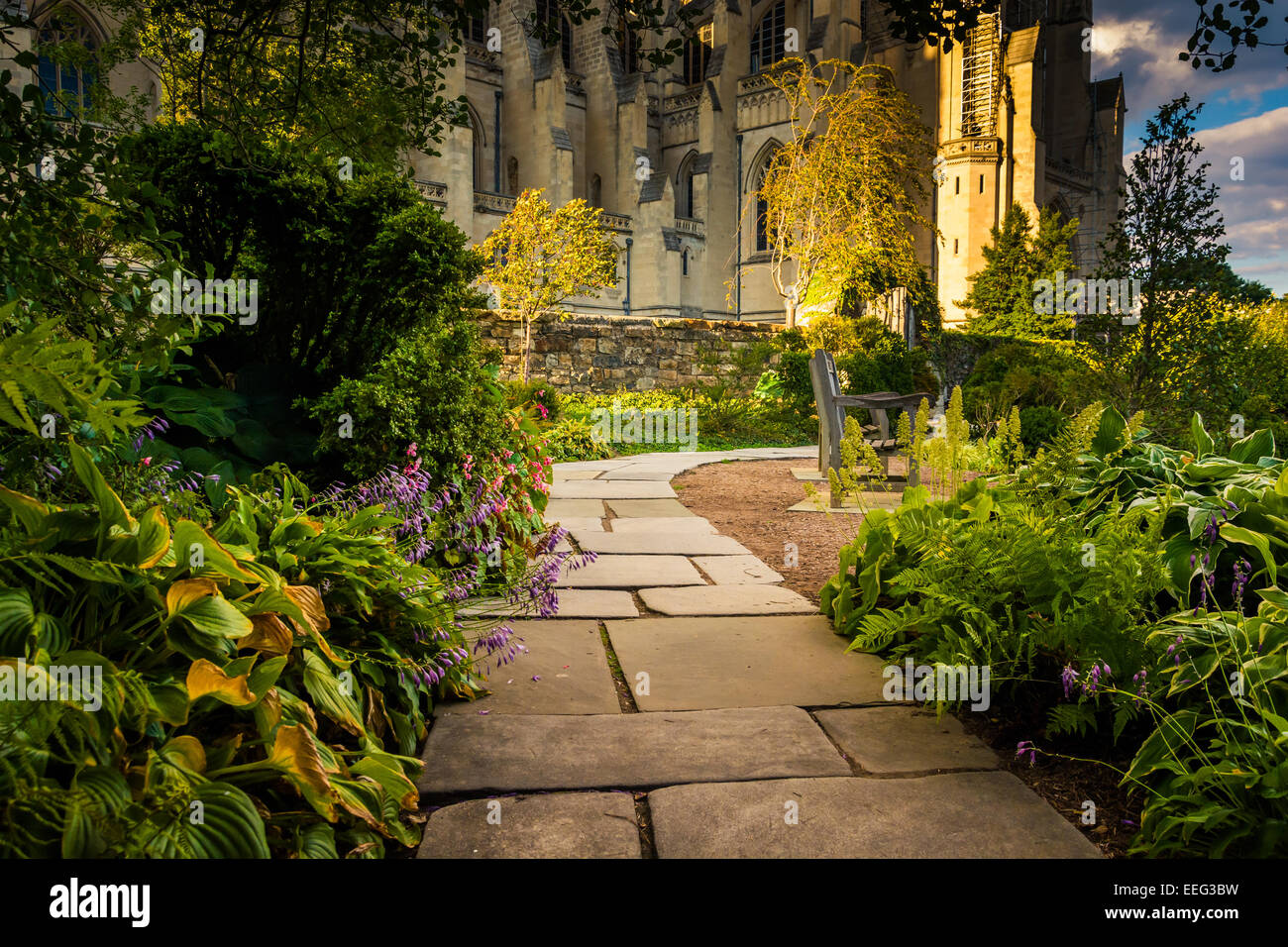 Le piante e la passerella nel Vescovo il giardino e la Cattedrale Nazionale  di Washington a Washington, DC Foto stock - Alamy
