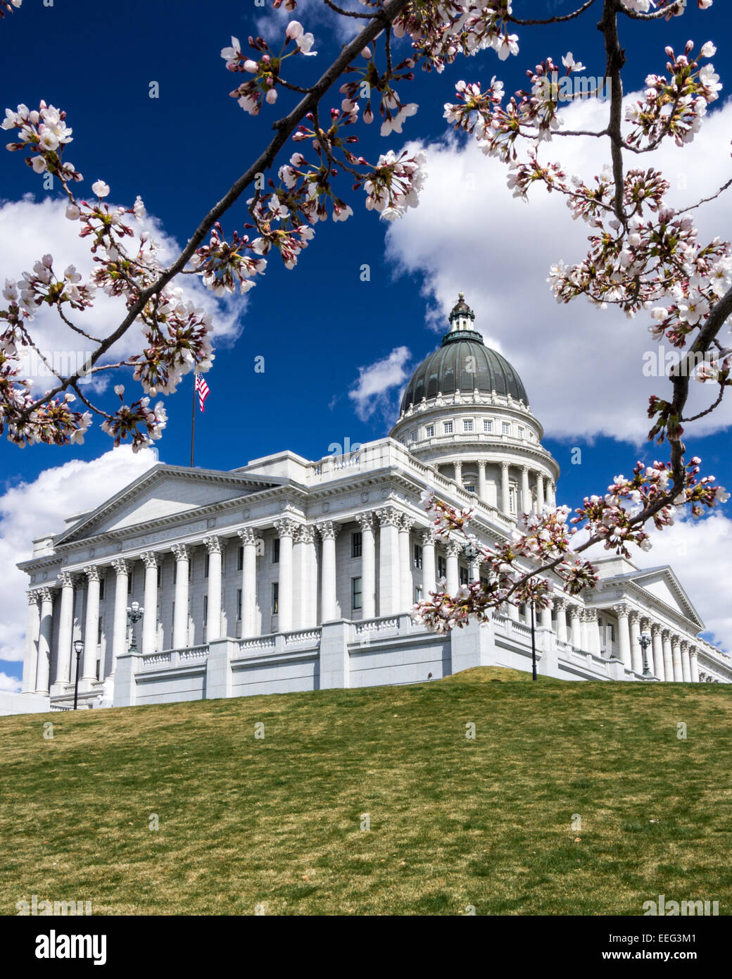 Alberi di ciliegio che corona la Utah State Capitol in Salt Lake City. Foto Stock