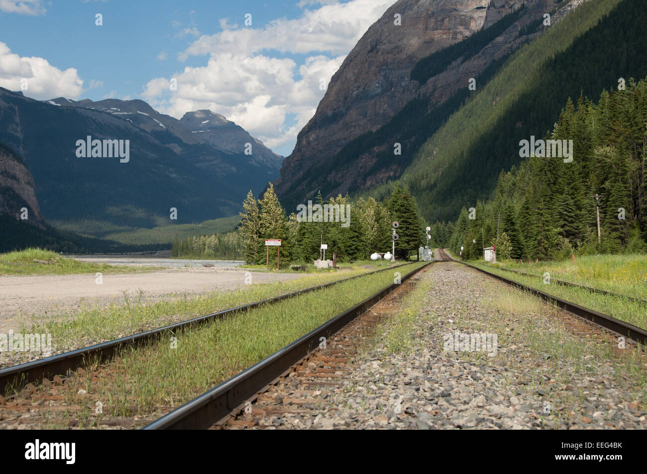 Close up della Canadian Pacific binario ferroviario, campo, Parco Nazionale di Yoho Foto Stock