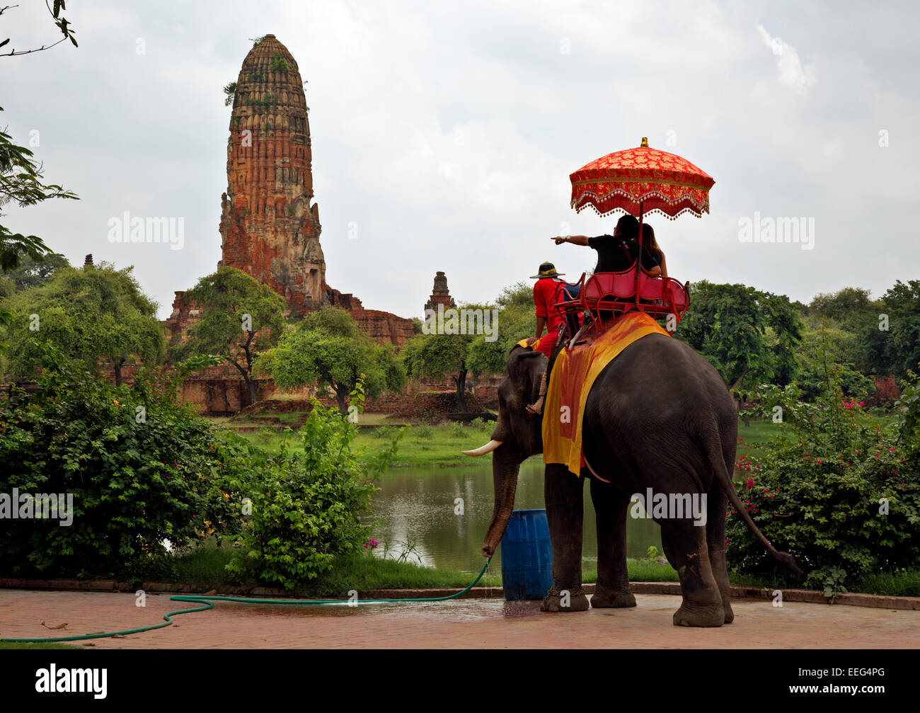 Thailandia - Visitatori al al parco storico di Ayutthaya sperimentando un elefante in vista delle massicce stupa di Wat Phra Ram. Foto Stock