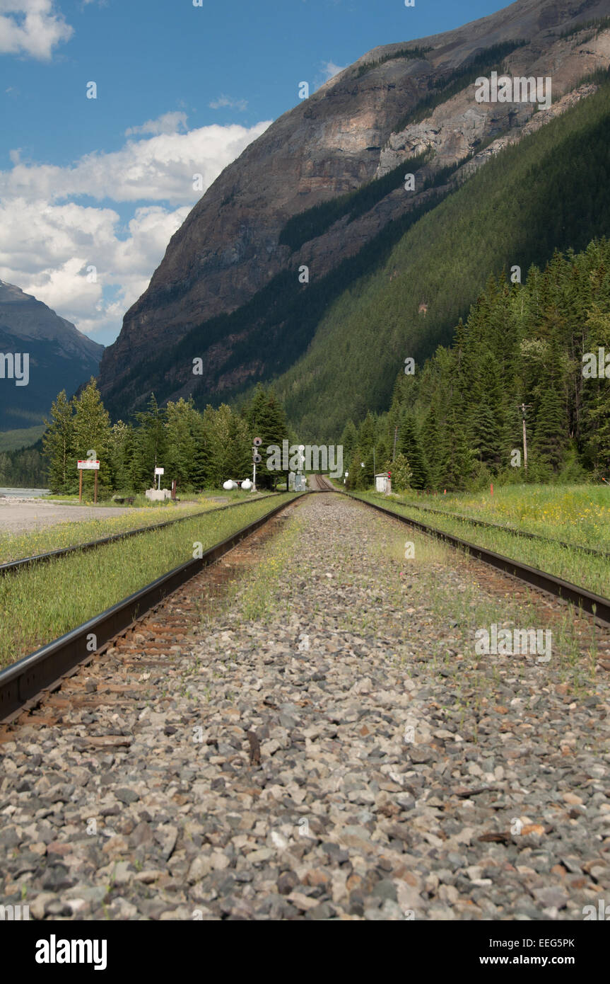 Close up della Canadian Pacific binario ferroviario, campo, Parco Nazionale di Yoho Foto Stock