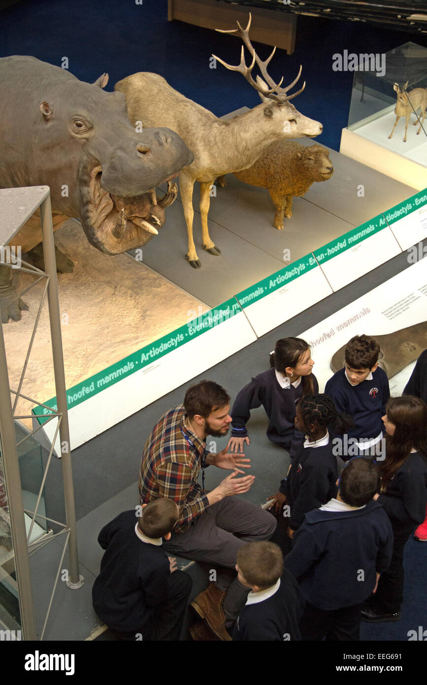 Scuola di apprendimento di gruppo sui mammiferi nel Museo di Storia Naturale a Londra nel South Kensington, Inghilterra. Foto Stock