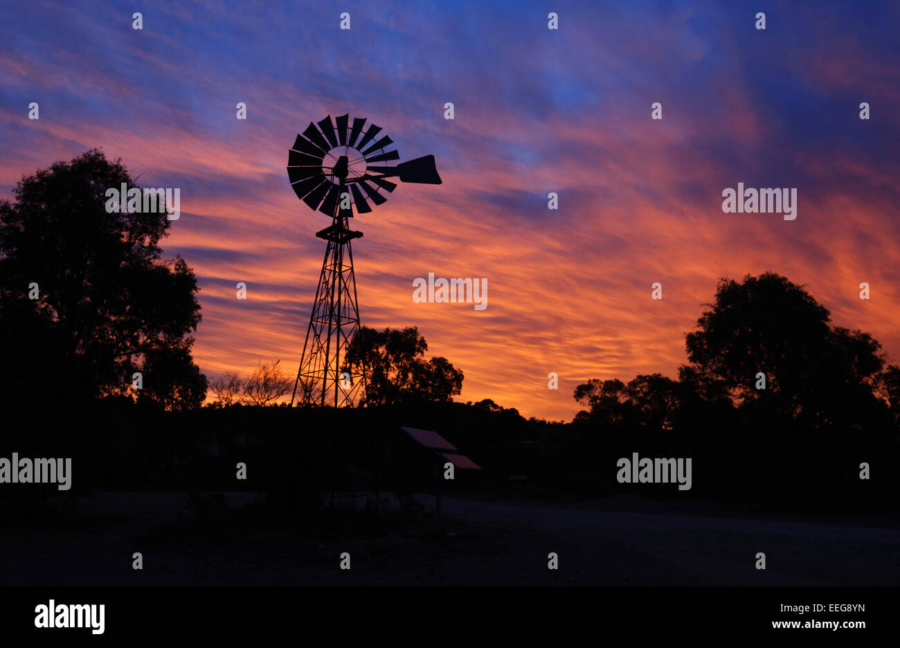 Sunrise nell'Outback, South Australia Foto Stock