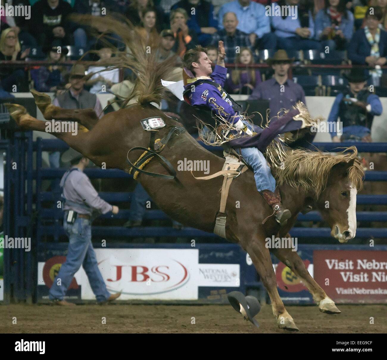 Denver, Colorado, Stati Uniti d'America. Xvii gen, 2015. TILDEN HOOPER di Cartagine, TX. passeggiate sulla sommità di Bronc Jim Dandy durante il PRCA Bareback Riding evento presso il National Stock occidentale mostrano il sabato pomeriggio. Credito: Hector Acevedo/ZUMA filo/Alamy Live News Foto Stock
