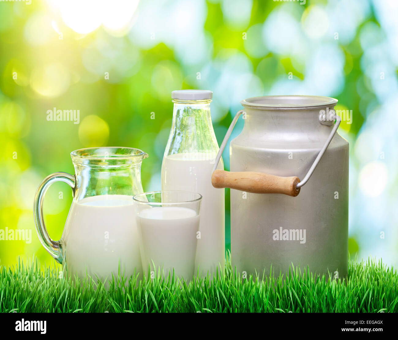 Fresco latte organico. La natura dello sfondo. Foto Stock
