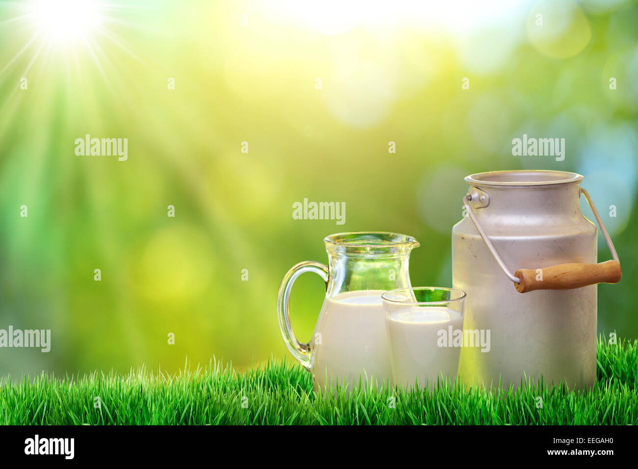 Fresco latte organico. La natura dello sfondo. Foto Stock