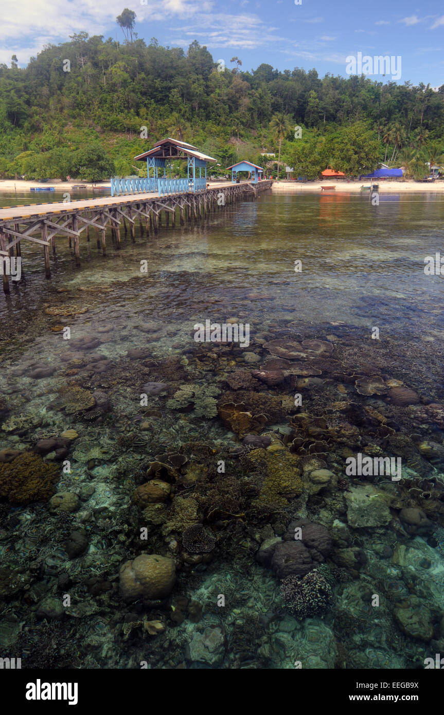 Coral reef e molo al villaggio Yenbeser, Gam Isola, Raja Ampat, provincia di Papua, Indonesia. N. PR Foto Stock