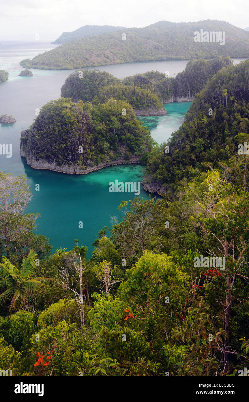 Punto di vista Painemu, Fam Isole Raja Ampat, provincia di Papua, Indonesia Foto Stock