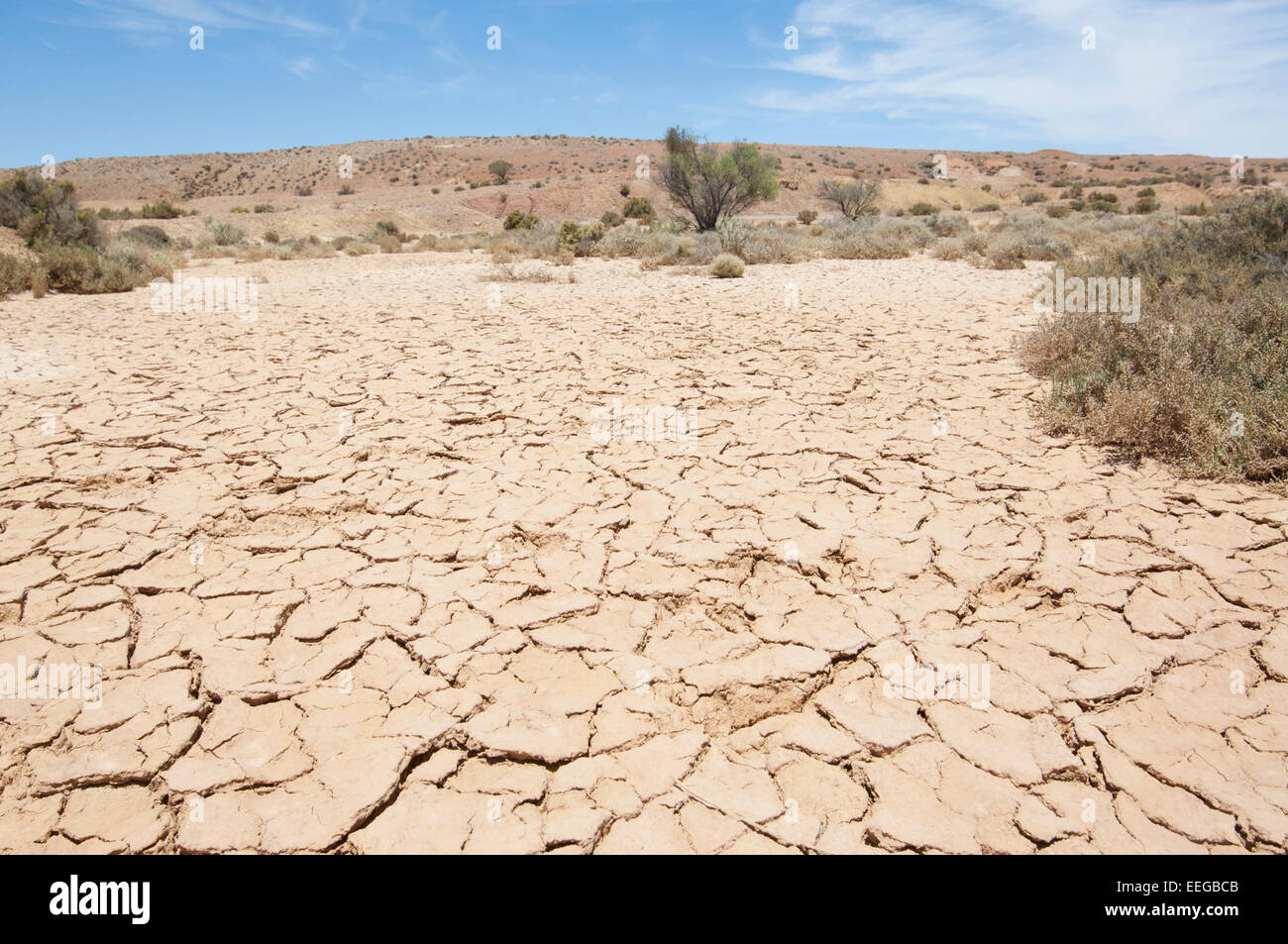 Essiccato Creek, tra Marree e Arkaroola, Sud Australia Foto Stock