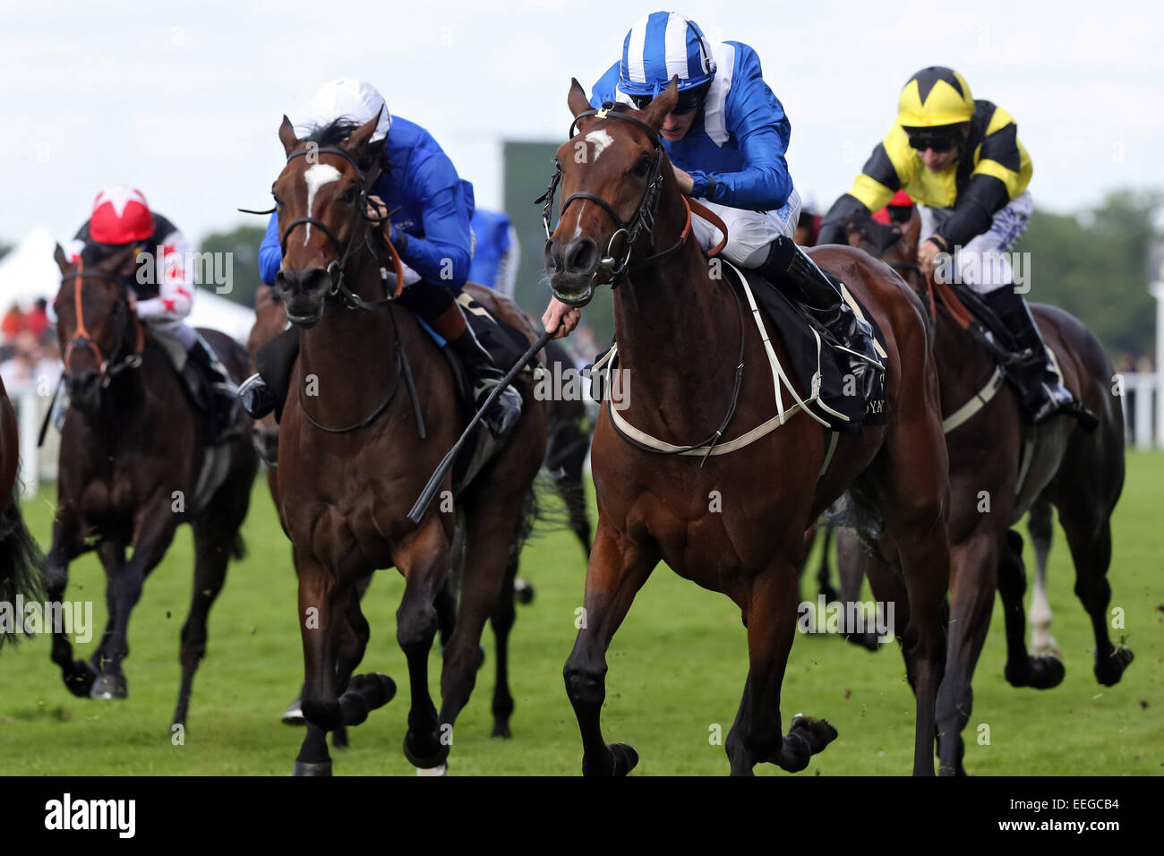 Royal Ascot, Muteela (n. 11) con Paolo Hanagan fino vince il Sandringham Handicap Foto Stock