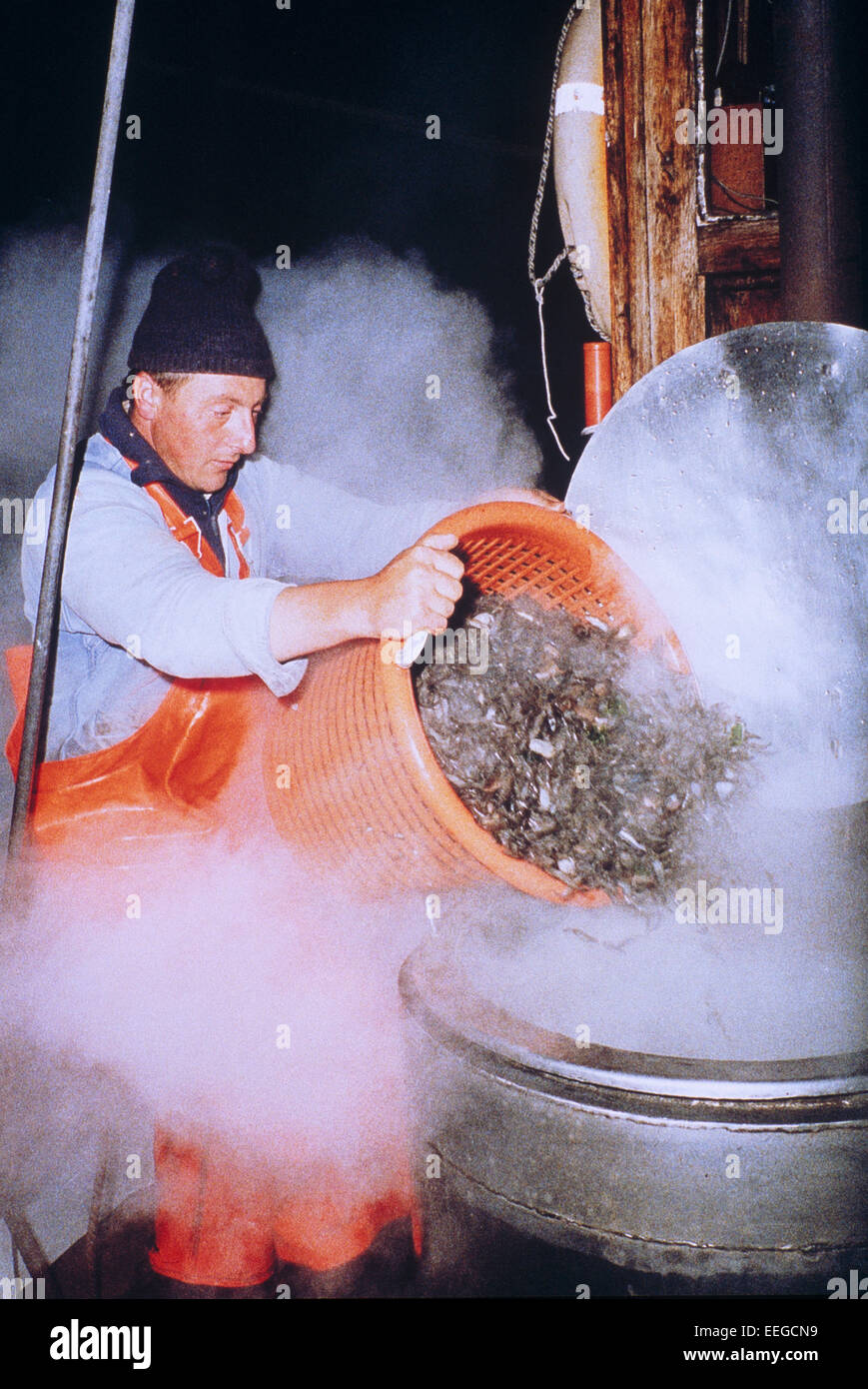 Amburgo, Germania, i pescatori per la lavorazione del pesce Foto Stock