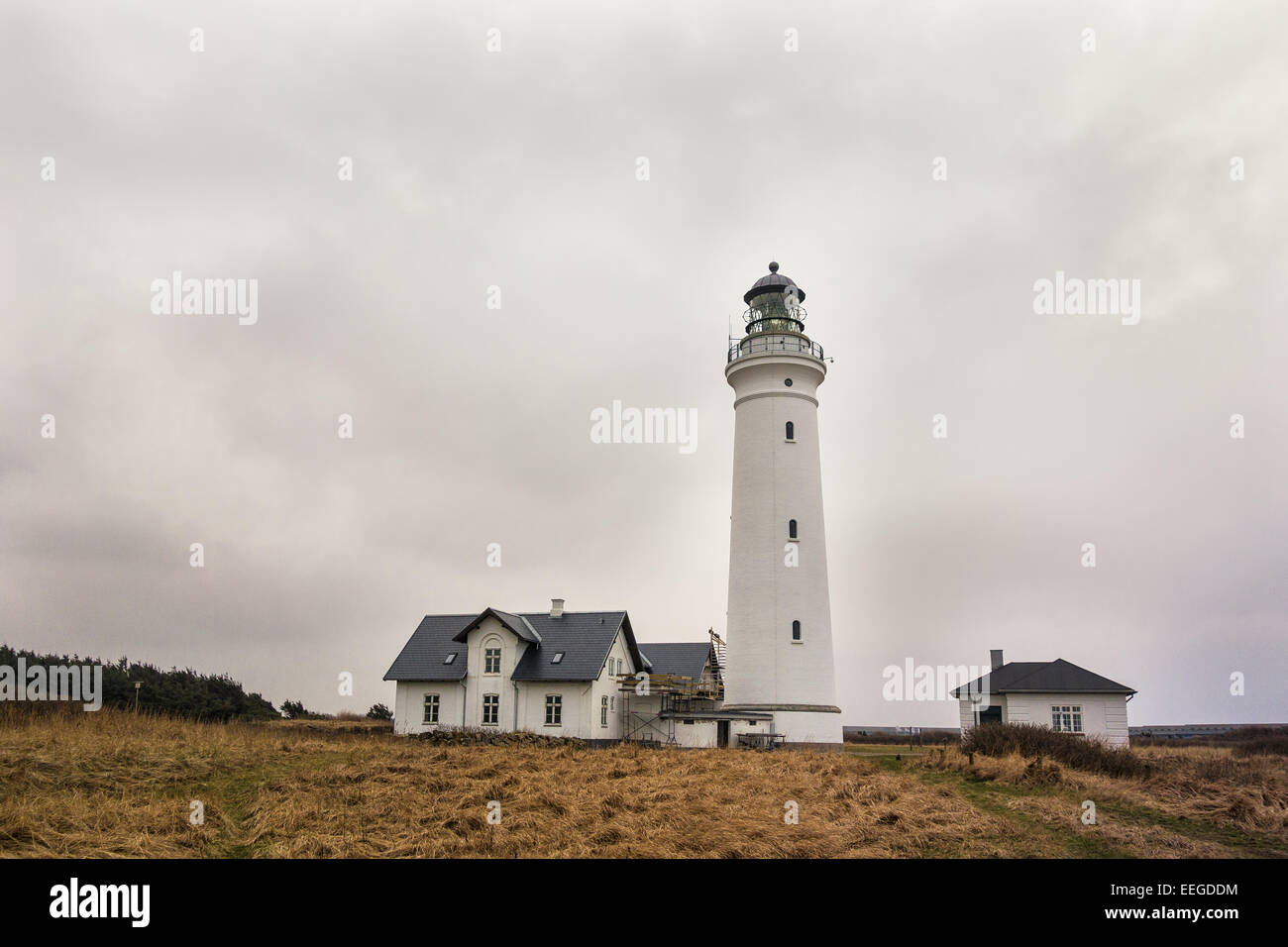 Al faro di Hirtshals (Danimarca) Foto Stock